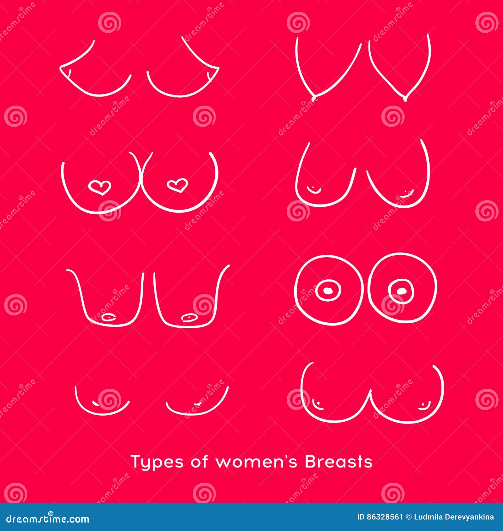 Types of Women`s Breasts. Women`s Breast Icon, Breast Icon Stock Vector -  Illustration of drawing, intimate: 86328561
