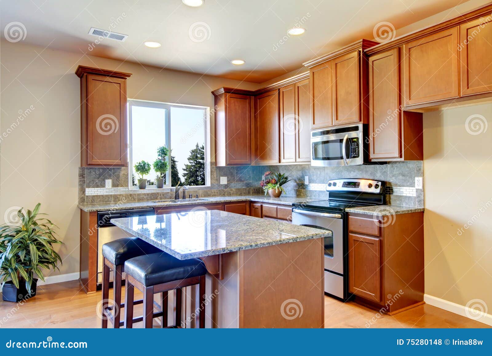 Typical American Kitchen Interior With Wooden Storage Combination