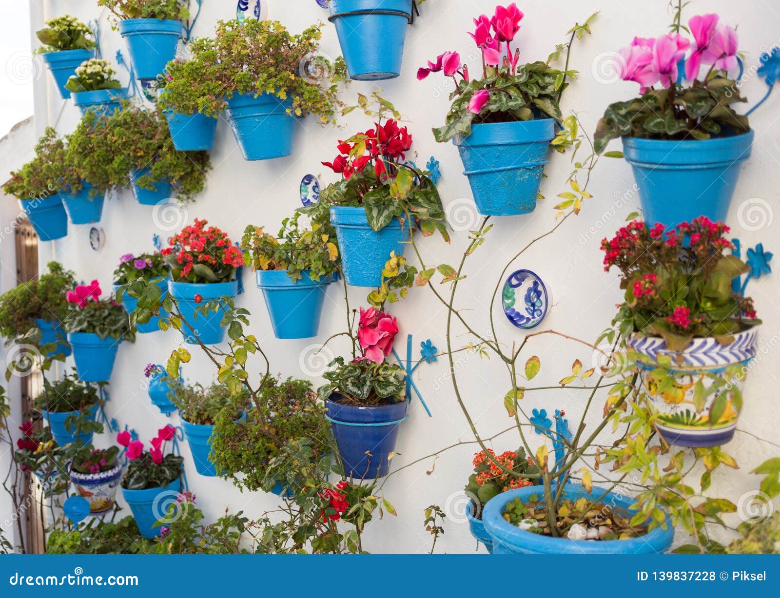 typical andalusian decoration with flowers and white walls