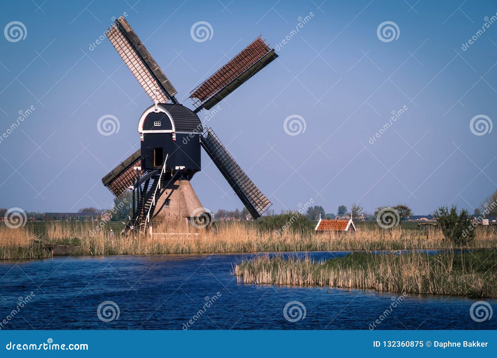 Dutch Polder Landscape with Traditional Windmill Stock Image - Image of ...