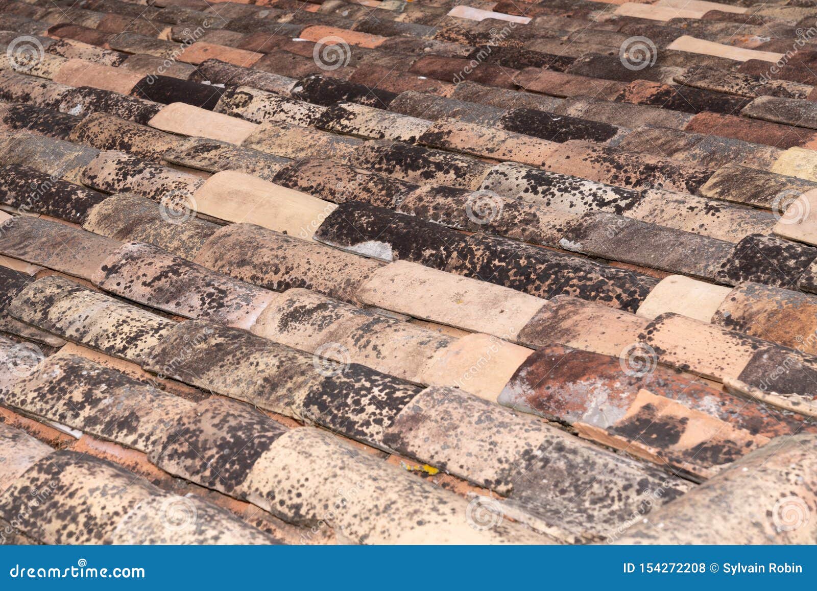 Typical French Roof Tiles for Background and Texture Stock Photo