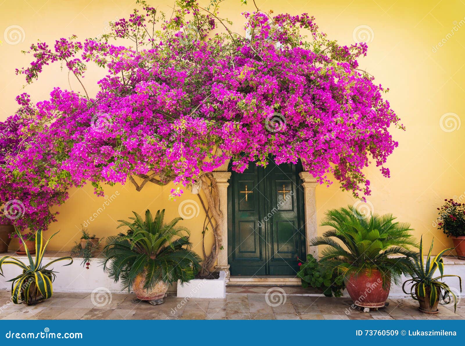 Typical Greek Alley with Beautiful Pink Flower in Corfu Island, Greece ...