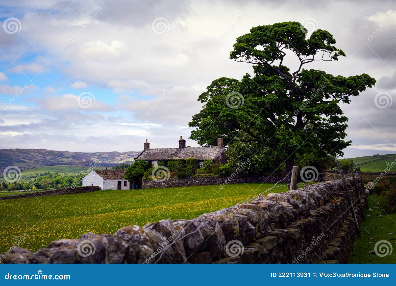 Typical House and Barn in Spring, Upper Teesdale, County Durham
