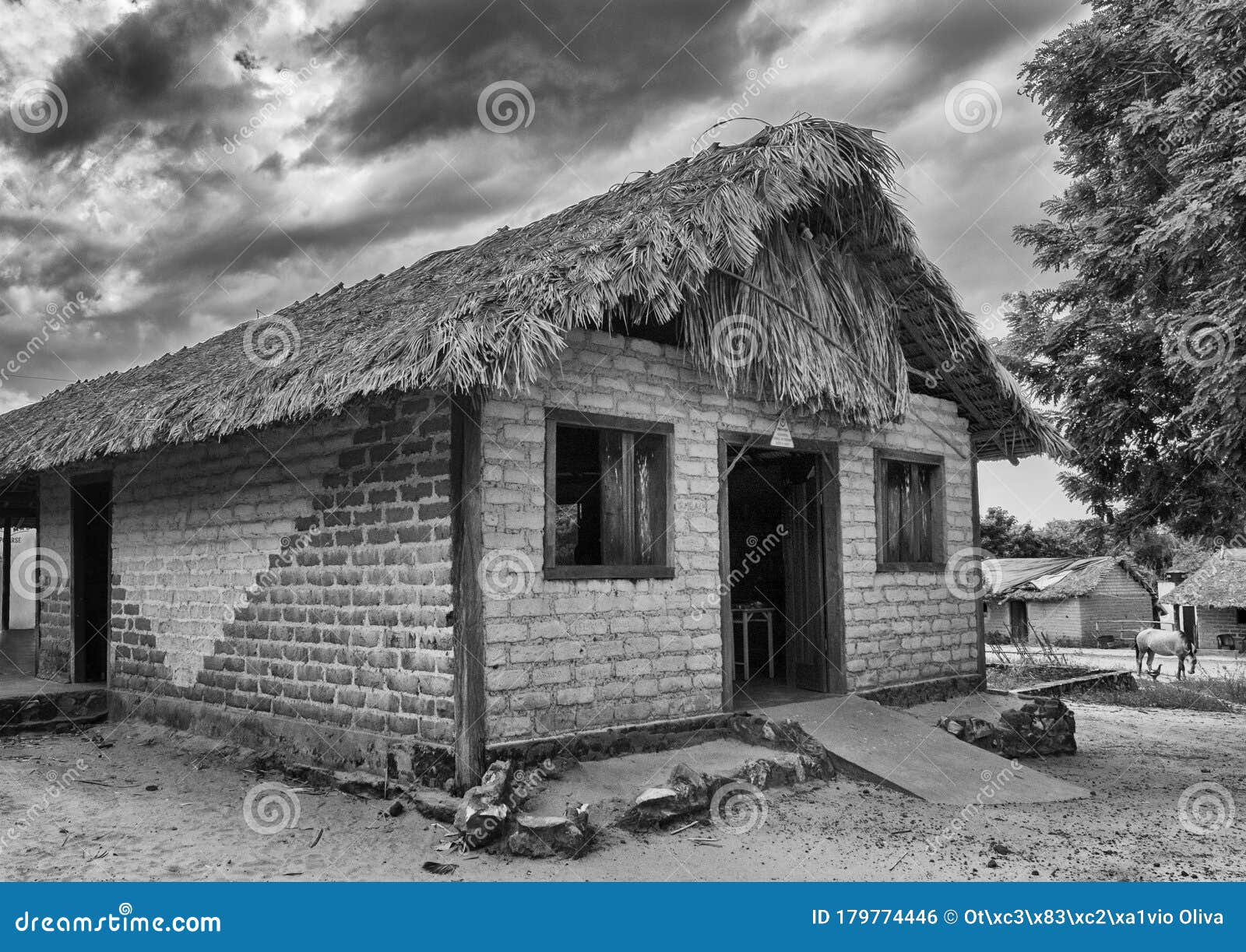 a typical house in the village of mumbuca, jalapao brazil.