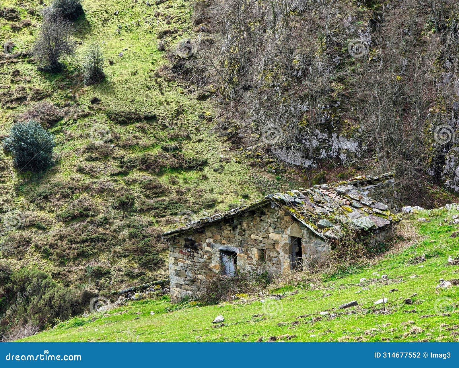 typical hut near nieves village, caso municipality, redes natural park, asturias, spain