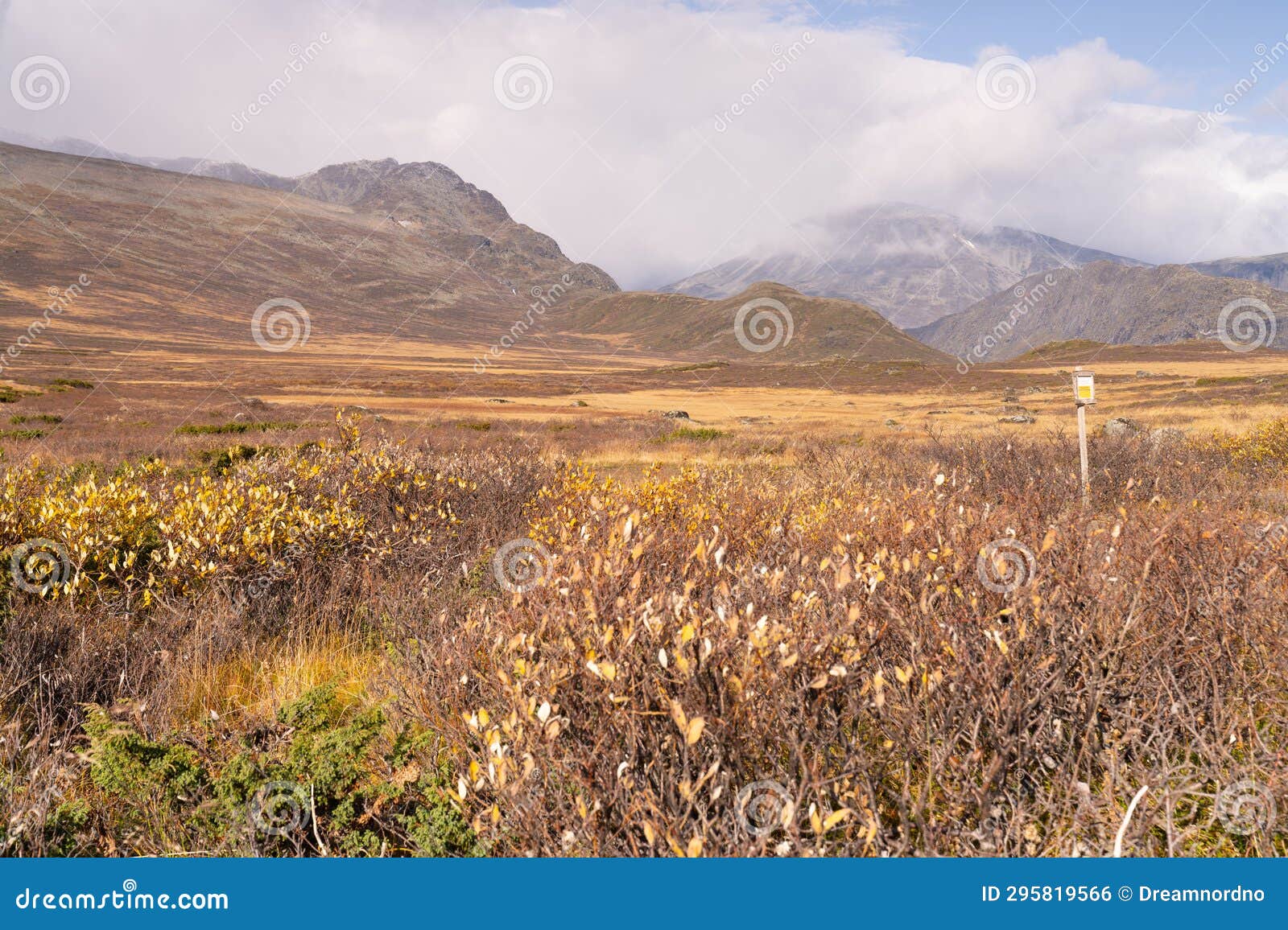 typical landscape in jotunheim national park in norway during autumn time in the beitostÃÂ¸len area overlooking the leirungsae