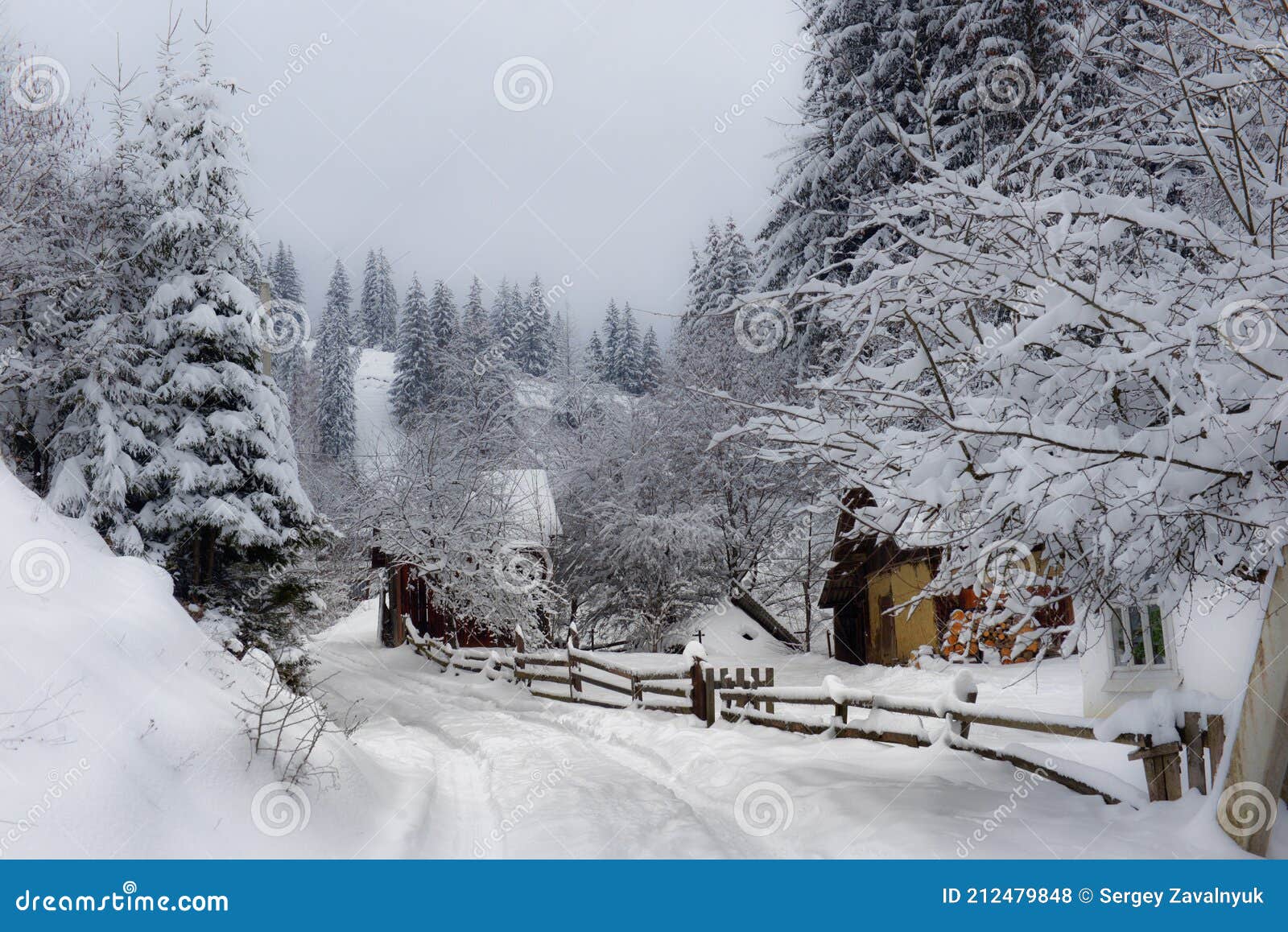 typical landscape of the ukrainian carpathians with private estates in winter