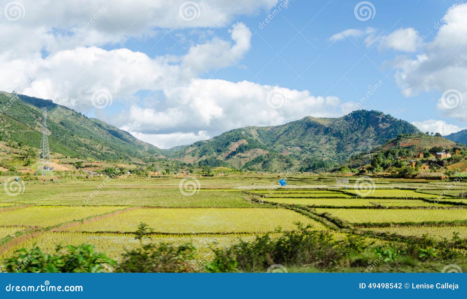 Typical Landscapes of Madagascar. Typical Landscapes with rice paddies in Madagascar