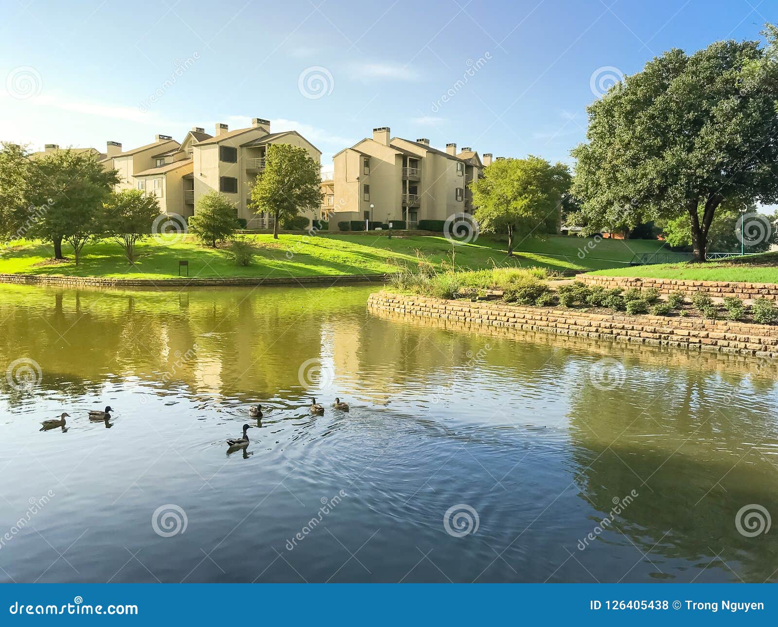 Typical Multistoried Building Riverside Apartment with Ducks Swimming