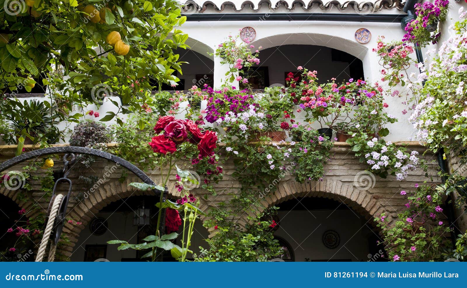 typical patio incordoba,spain,