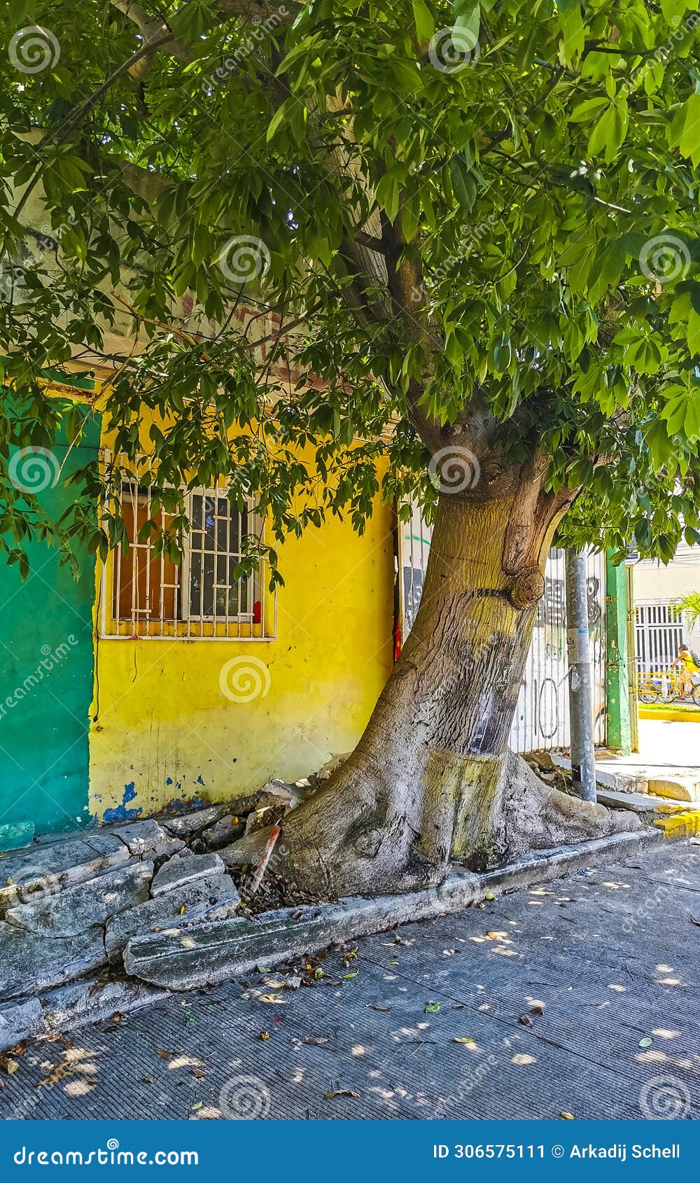 typical pedestrian street cityscape wall paintings playa del carmen mexico