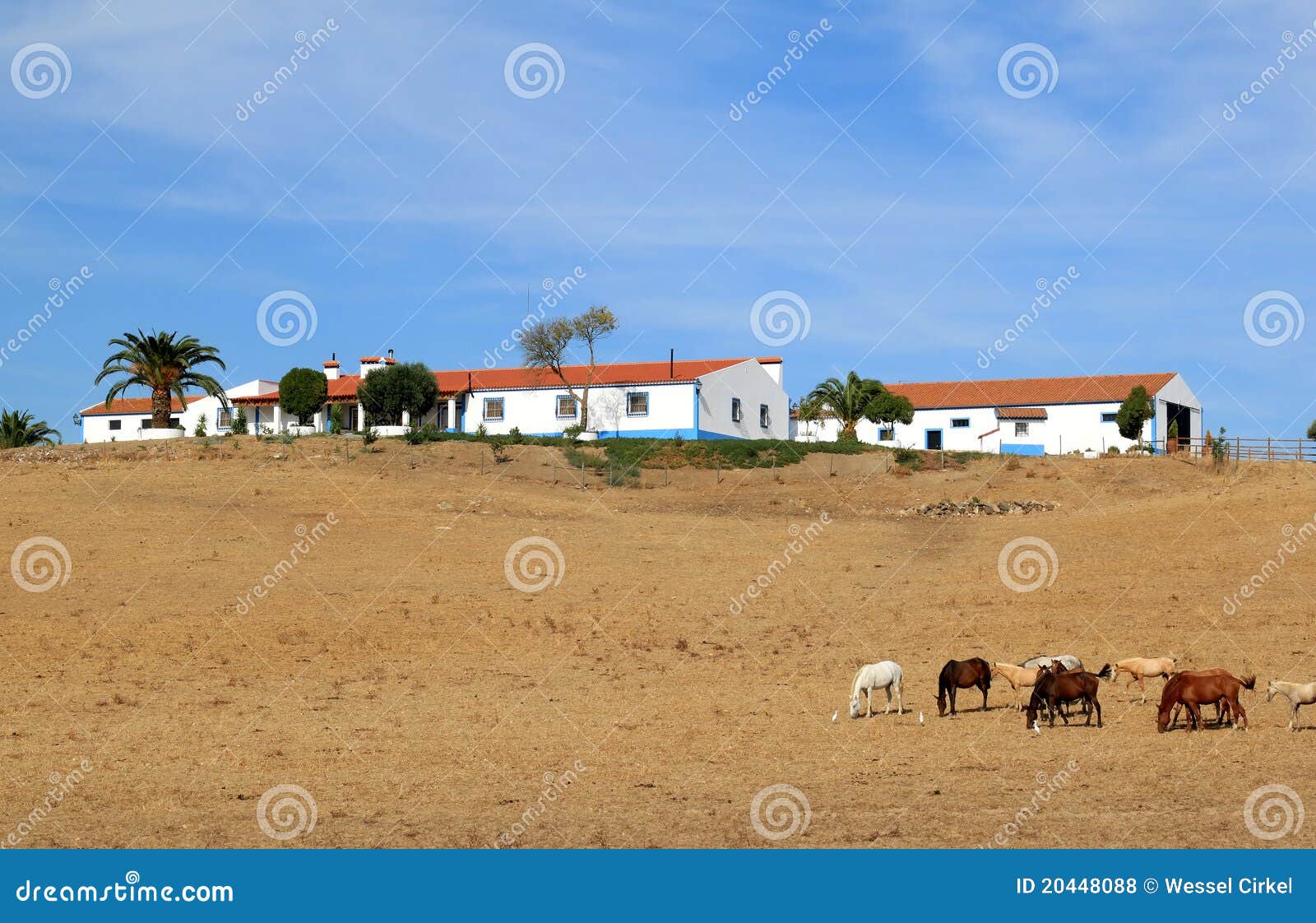 typical portuguese quinta in the region alentejo