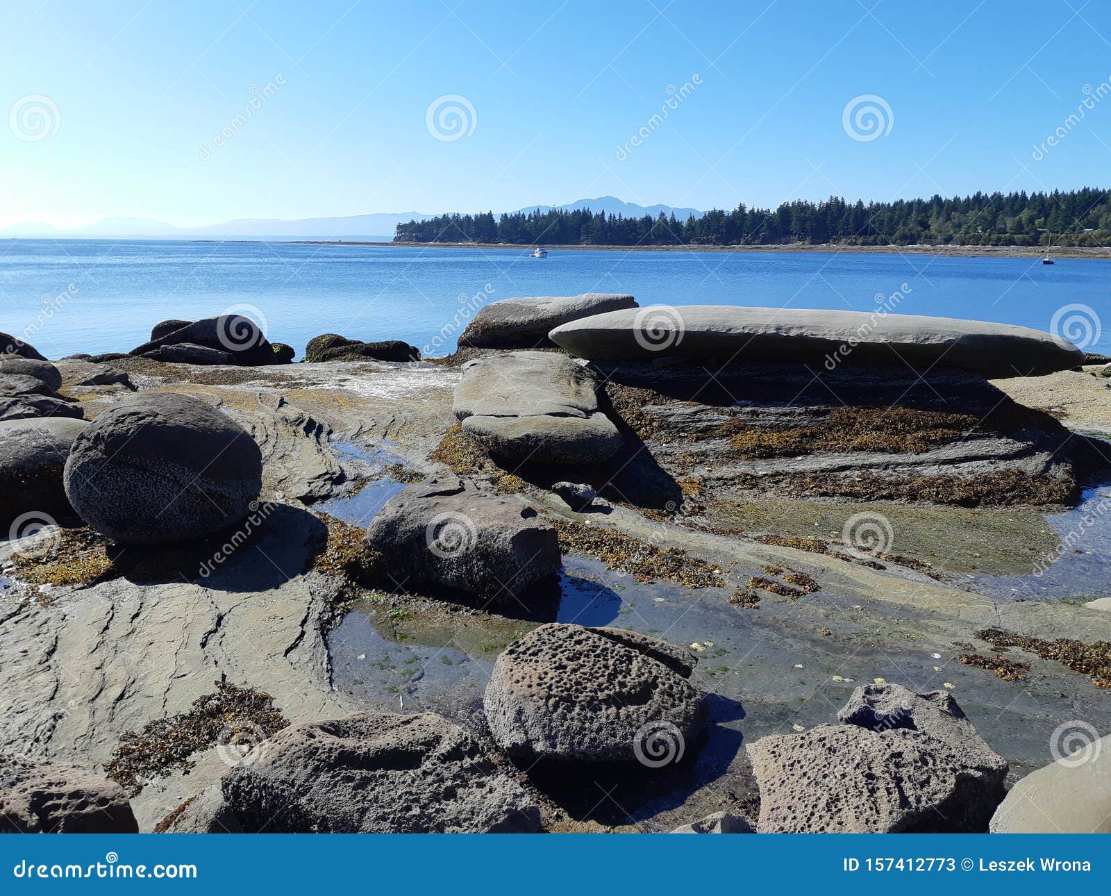 sandstone mineralogy on hornby island