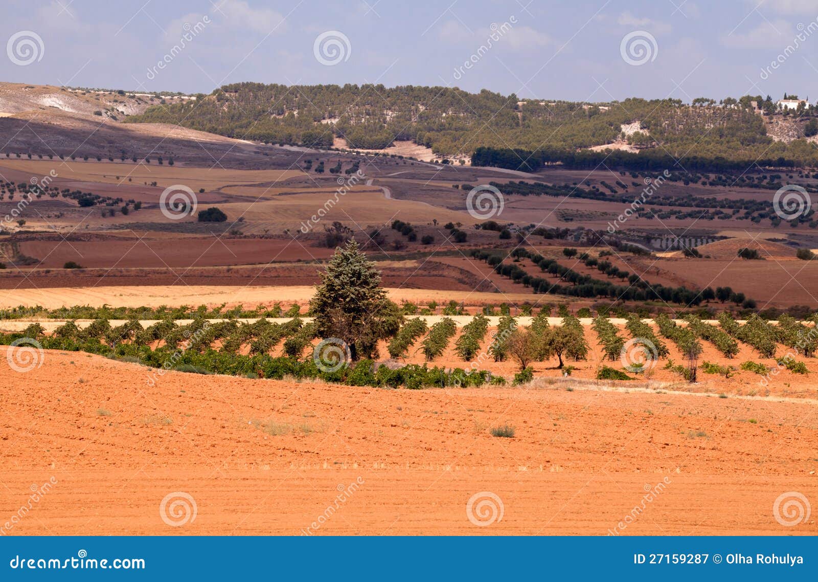 Typical Spanish Rural Landscape Stock Image Image of fall, seasonal