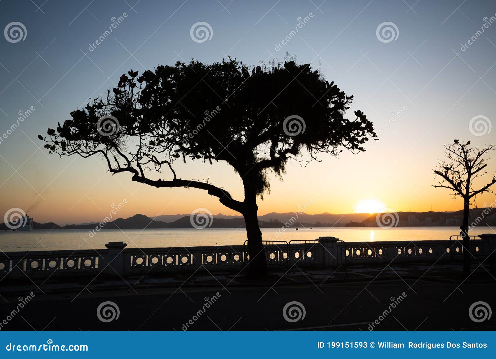 typical sunset in santos, brazil. in the foreground the  wall of the city of santos and the tropical almond tree terminalia