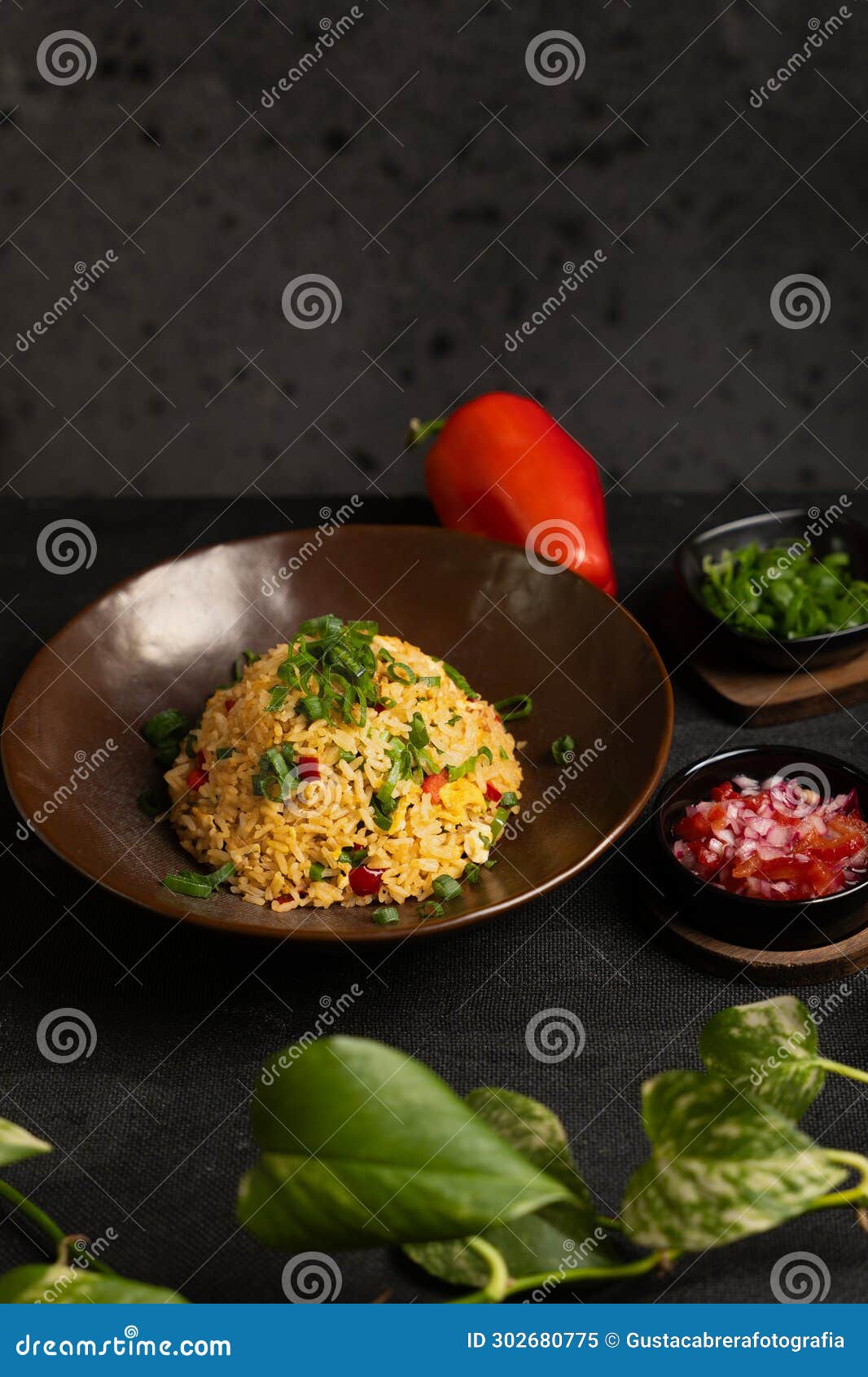 dish and colored ingredients on a dark background.