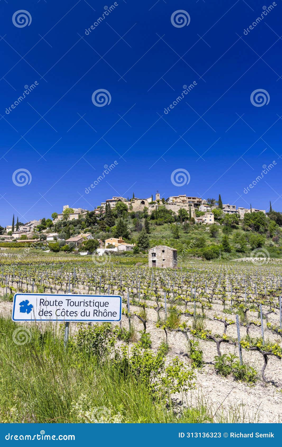 typical vineyard with wine road (route touristique des cotes du rhone) near faucon, cotes du rhone, france