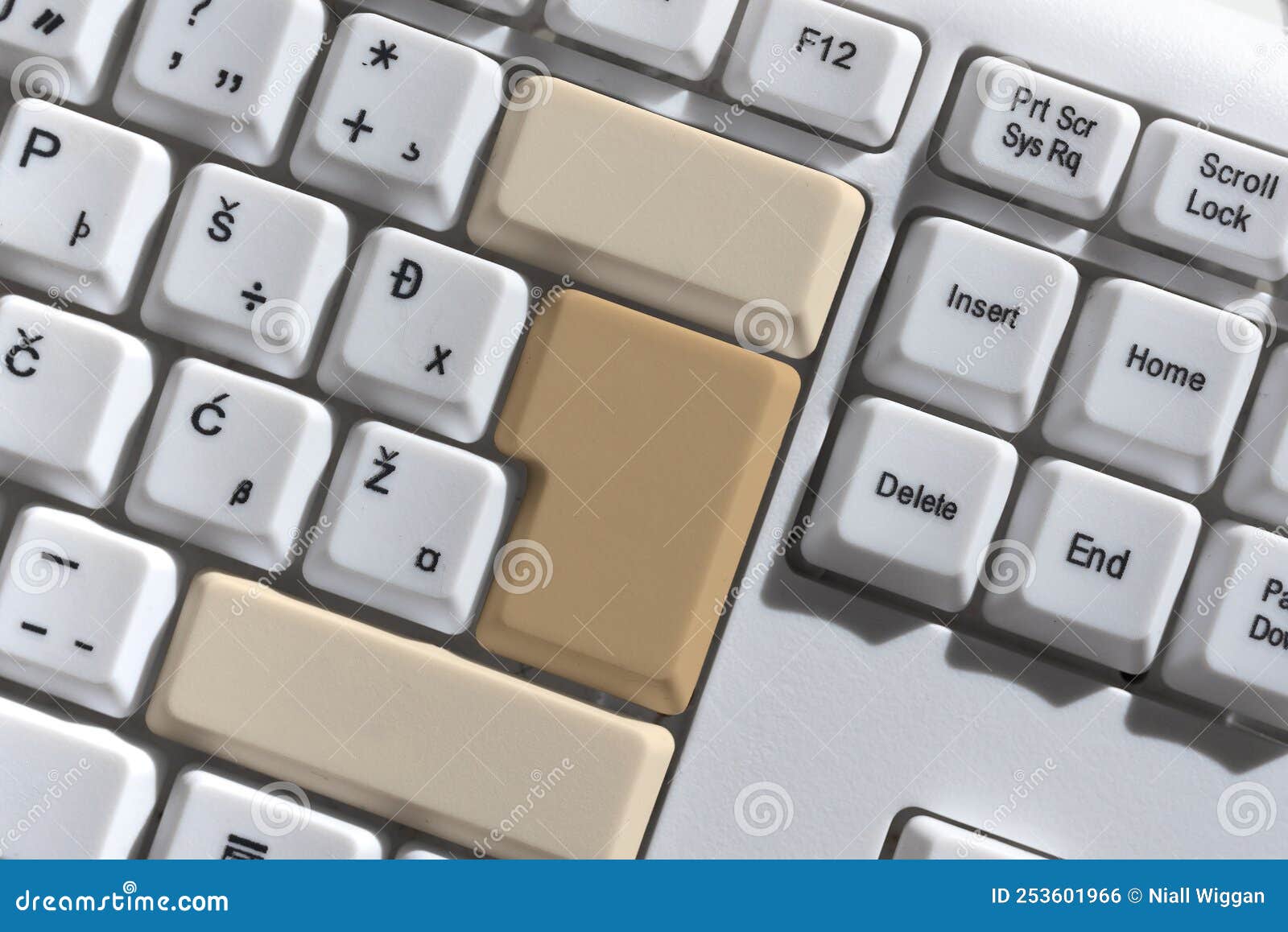 Typing Firewall Program Codes, Typewriting Rules Regulations Book