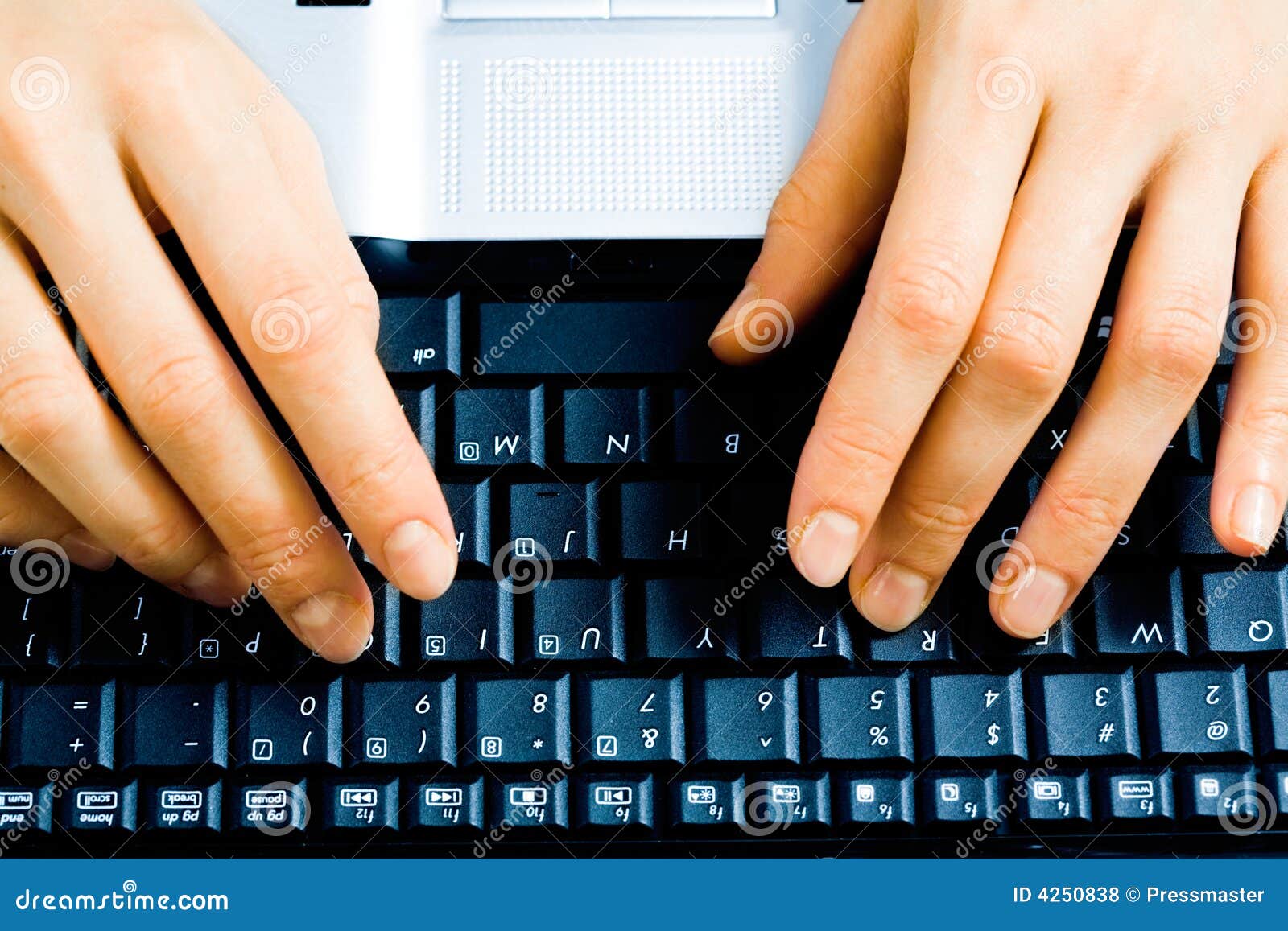 typing hands typing hands