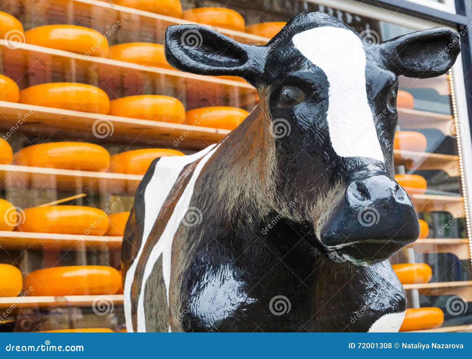 Typisch Nederlands Beeld Van Koe En Kaas Voor Verkoop Stock Foto - Image Of Decoratie, Trillend: 72001308