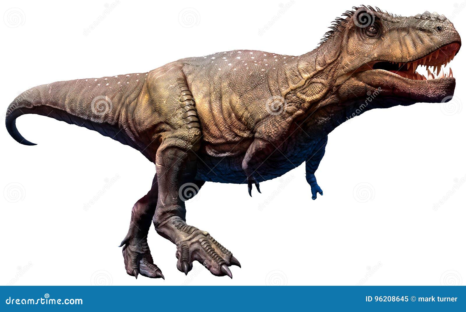 Tyrannosaurus From The Cretaceous Era 3d Illustration Stock Photo