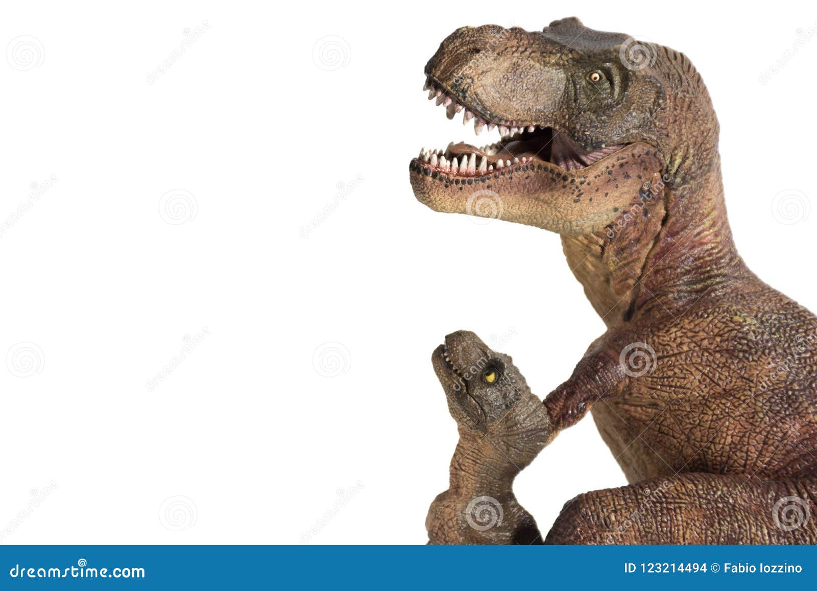 tyrannosaurus rex with baby t-rex on white background