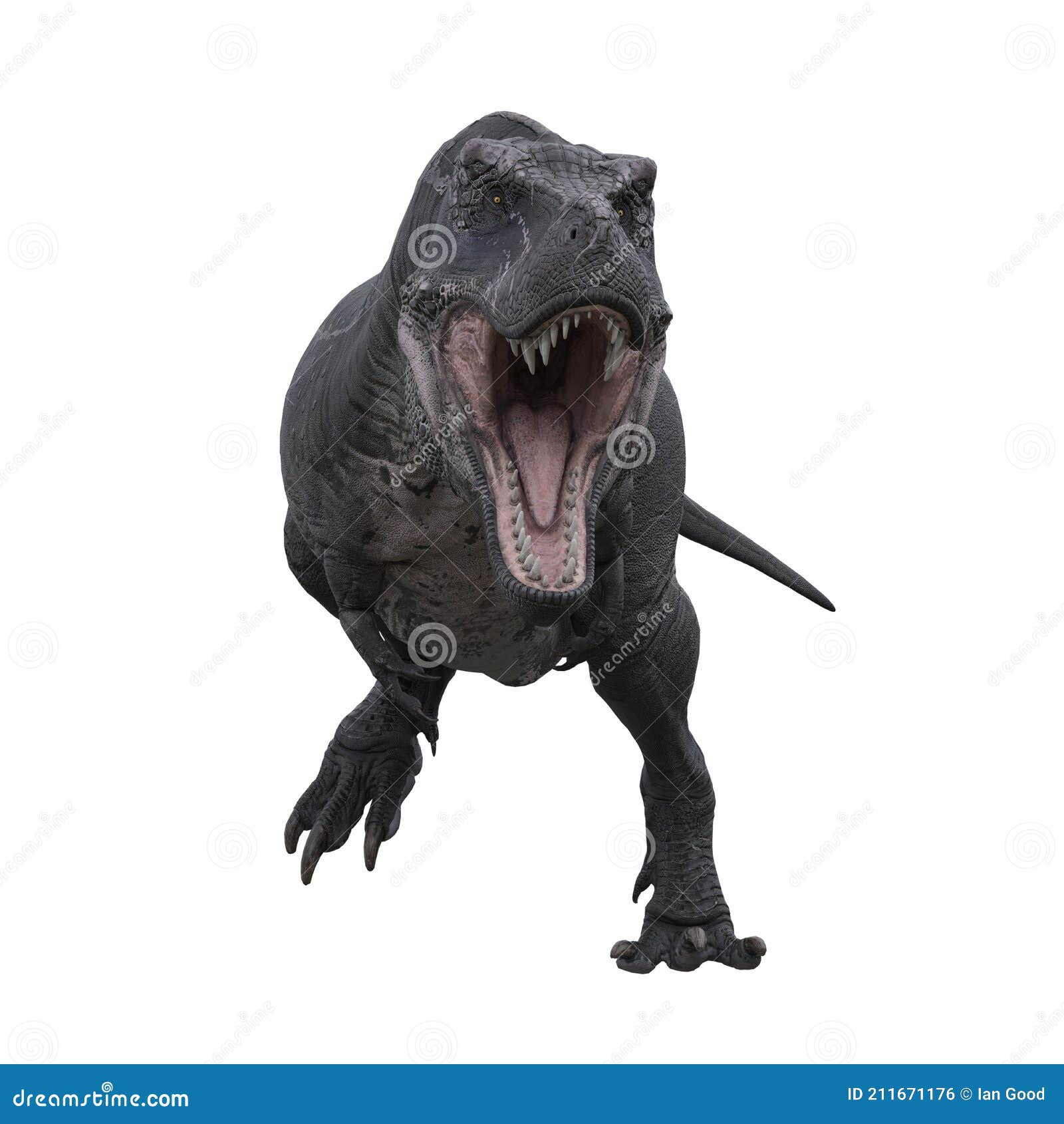 Tyrannosaurusrex Running In Studio 3d Render Stock Photo - Download Image  Now - Running, Tyrannosaurus Rex, Monster - Fictional Character - iStock