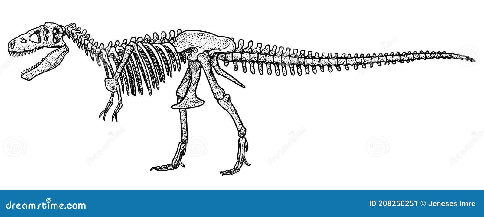 Vetor T-Rex esqueleto download gratuito