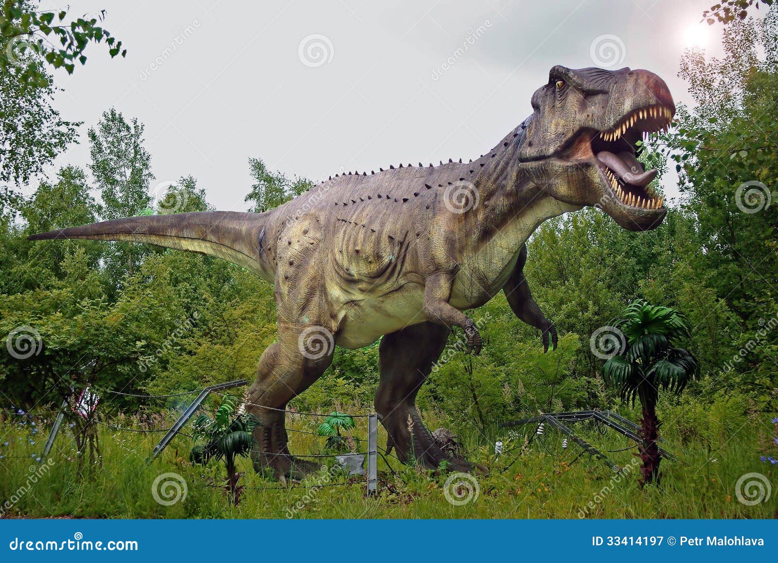 tyrannosaurus rex.