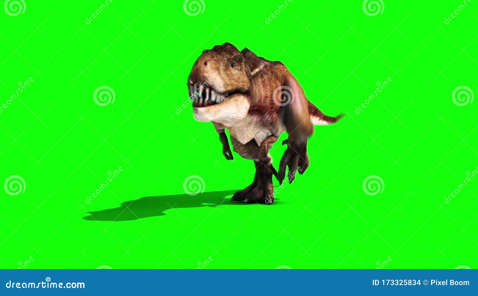 Tyrannosaurus T-Rex Run Green Screen 3D , Stock Video