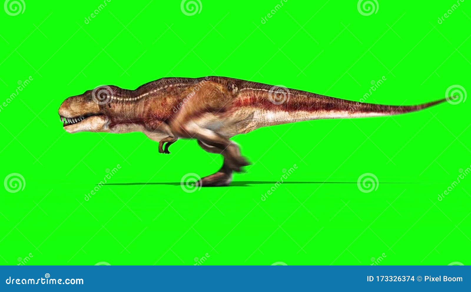 Trex Dinosaurs - 3D Animation - PixelBoom