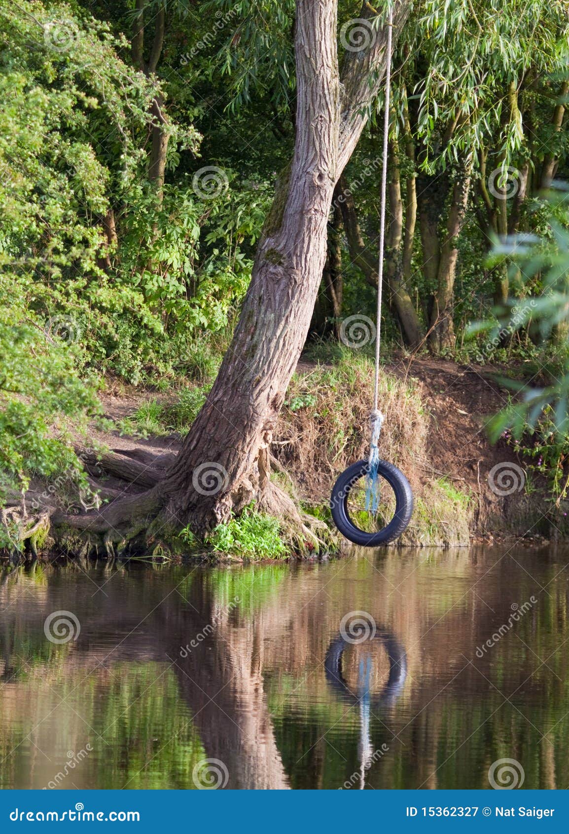 Tyre rope swing on river stock image. Image of toys, tyre - 15362327