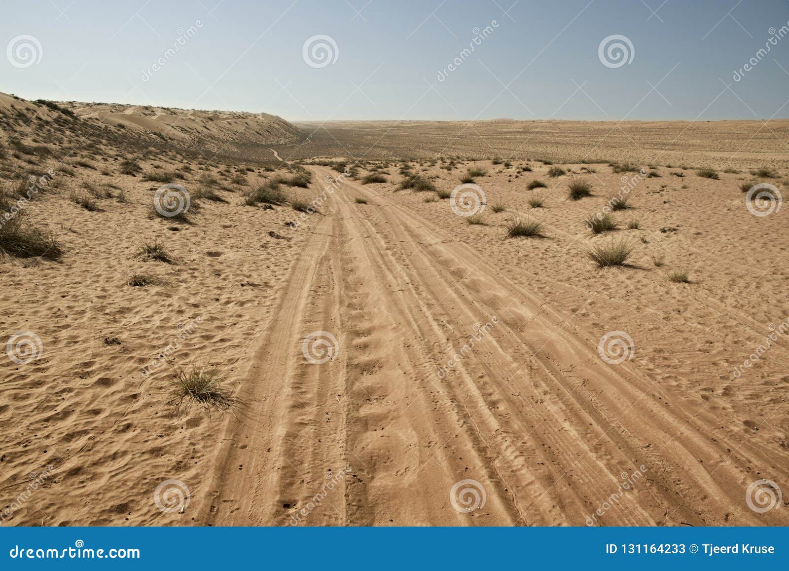 Tyre / Tire Tracks through the Desert Sand Dunes Stock Image Image of