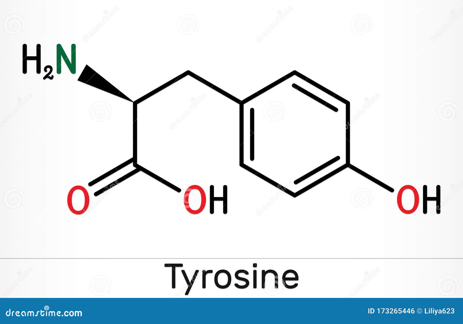 Tyrosine L Tyrosine Tyr C9h11no3 Amino Acid Molecule It Plays Role