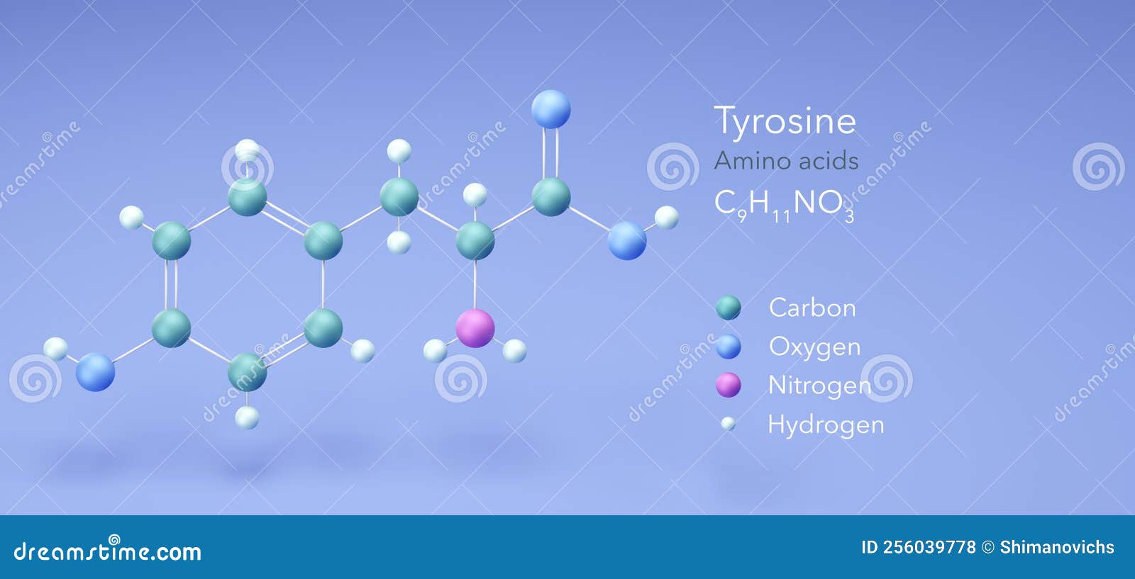 Tyrosine, Molecular Structures, Amino Acid, 3d Model, Structural