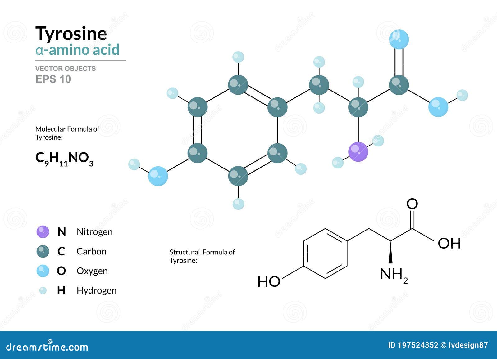 Amino Acid Tyrosine Molecular Structure RoyaltyFree Stock Image