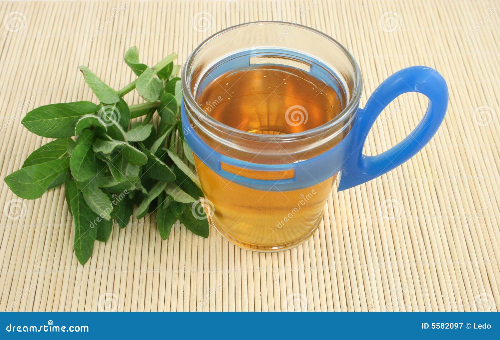Tea. Hojas frescas del té y del verde