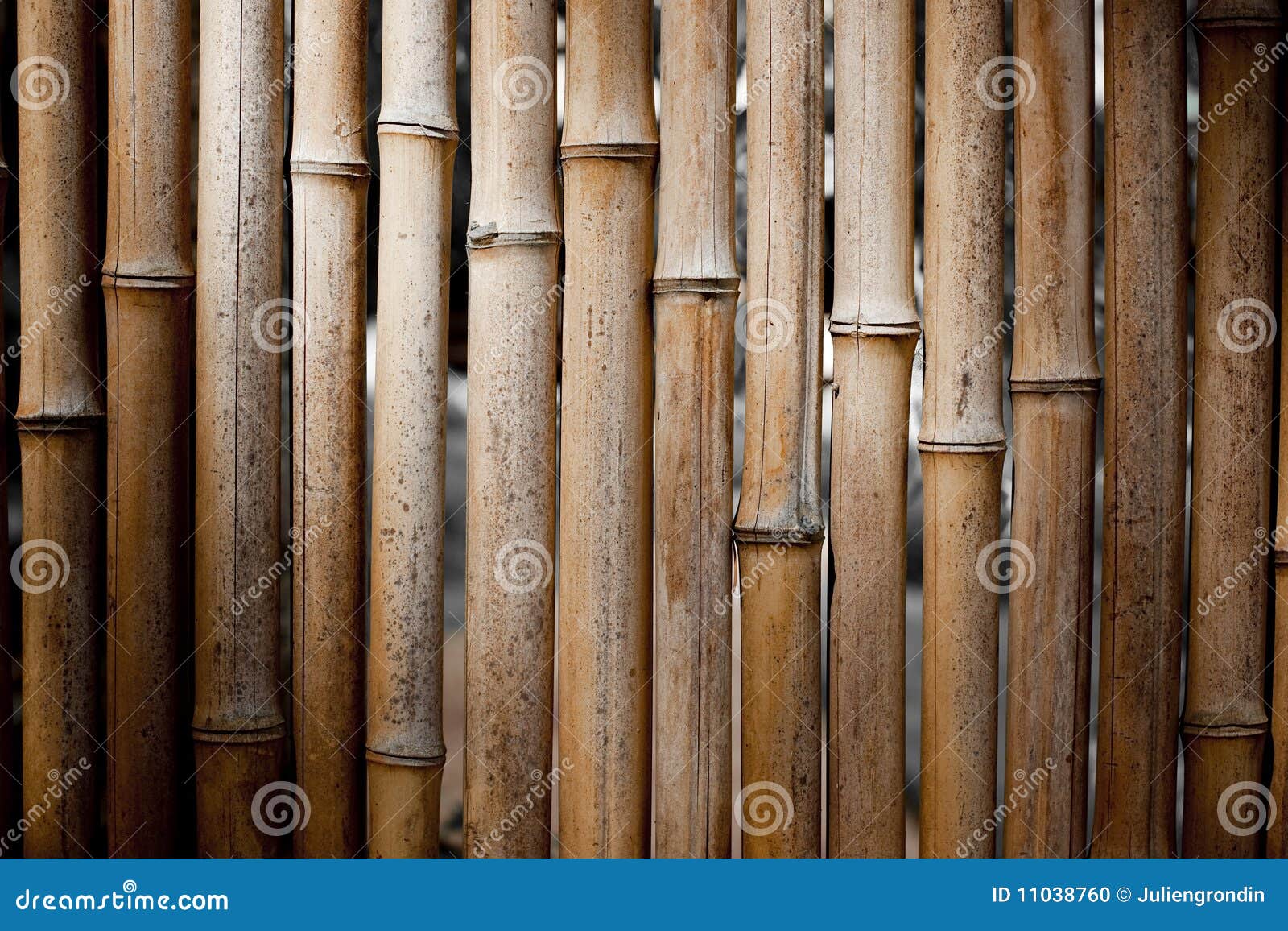Tło bambus. Tło obrazek bambusowy