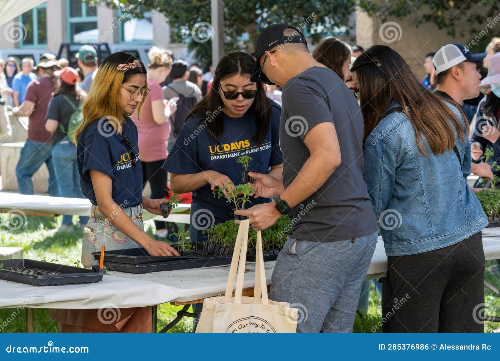 UC Davis Picnic Day 2023 Parade Featuring a Tomato Booth Editorial ...