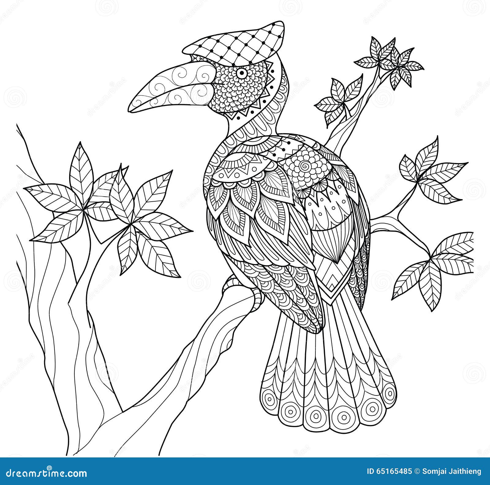 Uccello del bucero sulla pro tazione dello zentangle dell albero per il libro da colorare ed altre decorazioni
