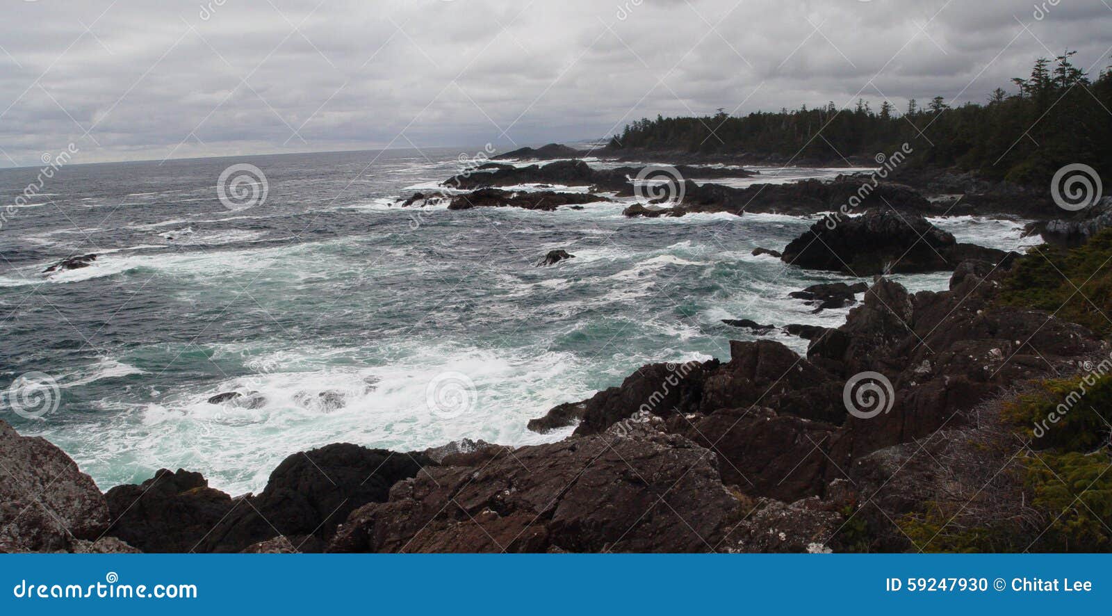Ucluelet Beach stock photo. Image of waves, water, pacific 59247930