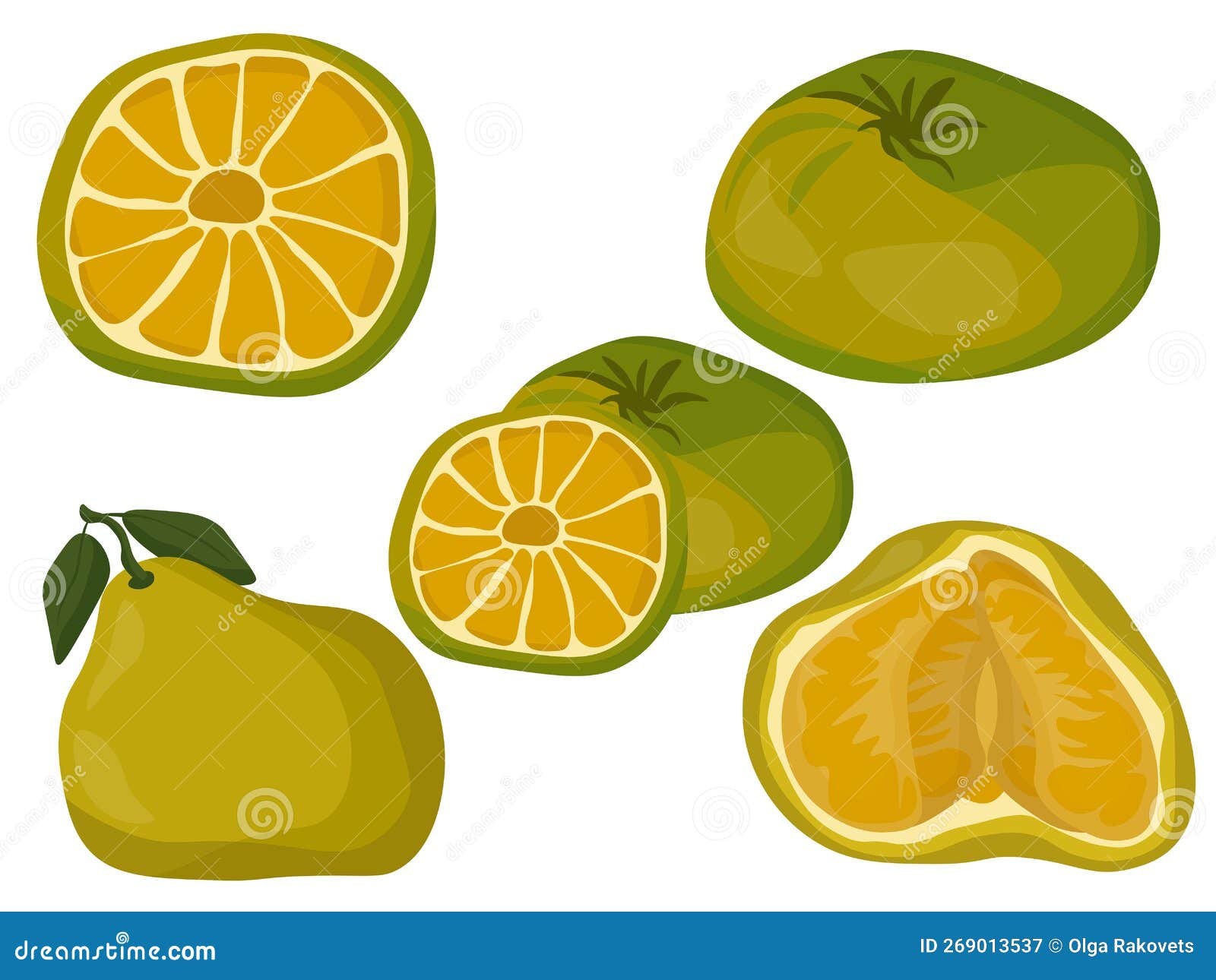 Jamaican Tangelo Fruit Cartoon Vector CartoonDealer com #175587579 Jamaican Tangelo Fruit Cartoon Vector CartoonDealer com #175587579