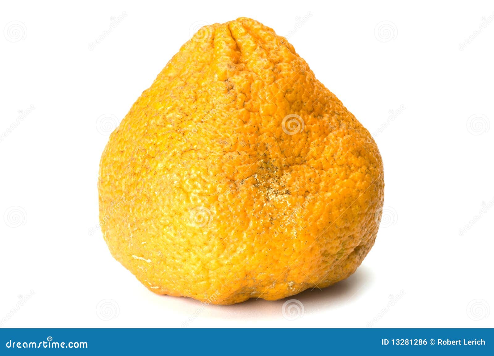 ugli fruit stock photo. image of hybrid, background, jamaican