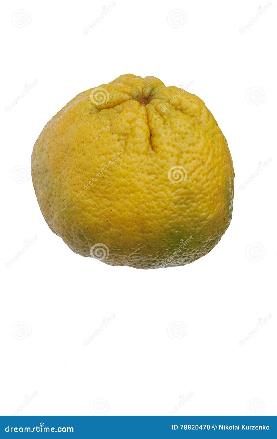 ugli fruit stock photo - image: 78820470