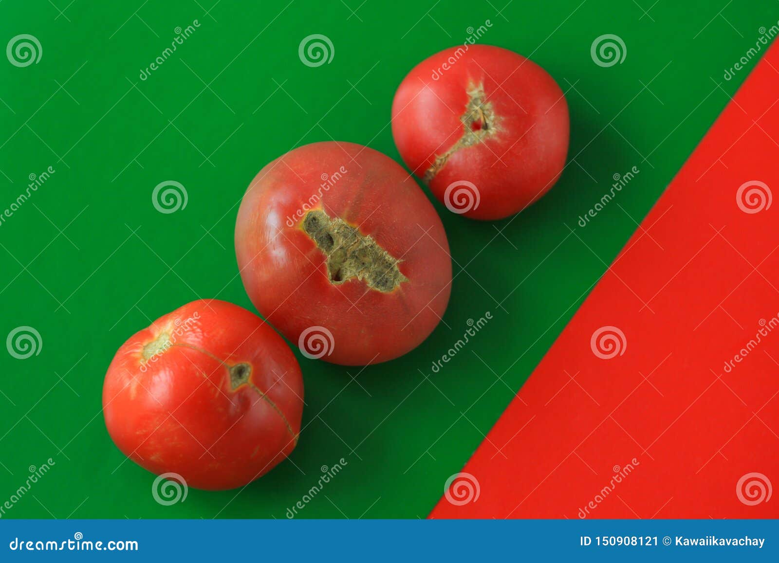 misshapen tomatoes misshapen tomatoes