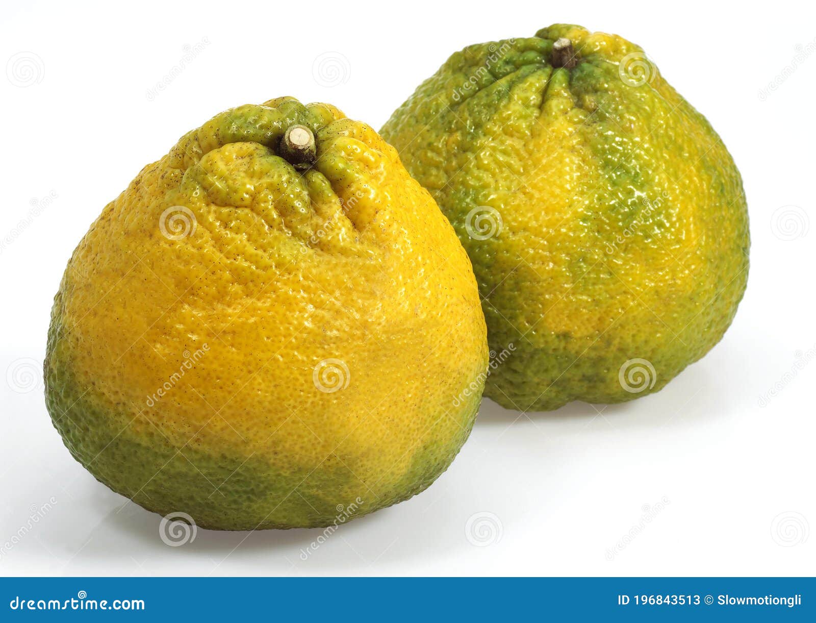 Ugly Grapefruit, Citrus Xtangelo, Fruits Against White Background Stock