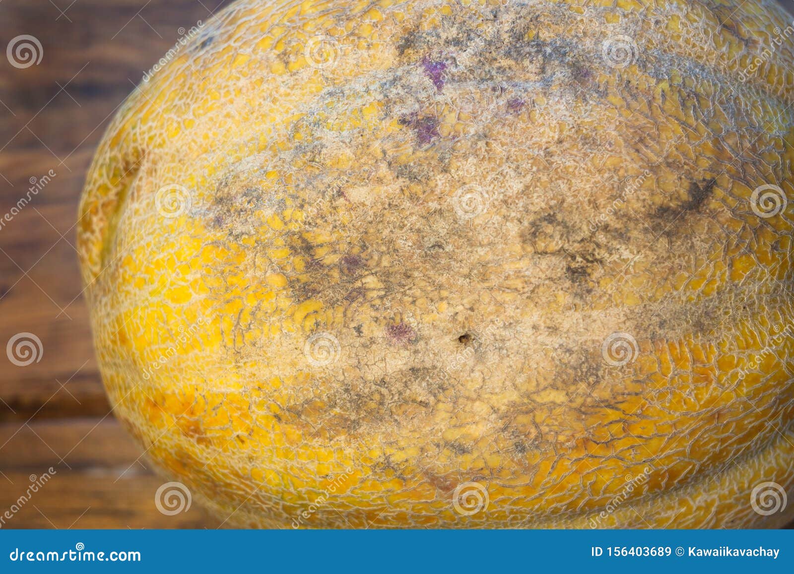 ugly d melon with scar-like structure, scratch on white background