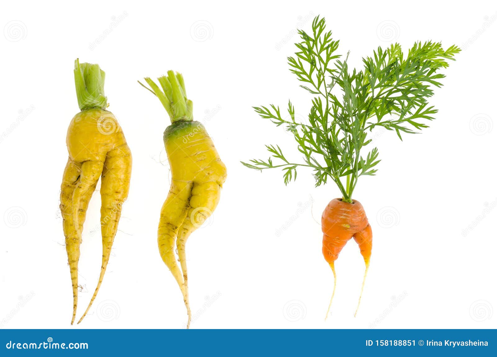 misshapen food misshapen food