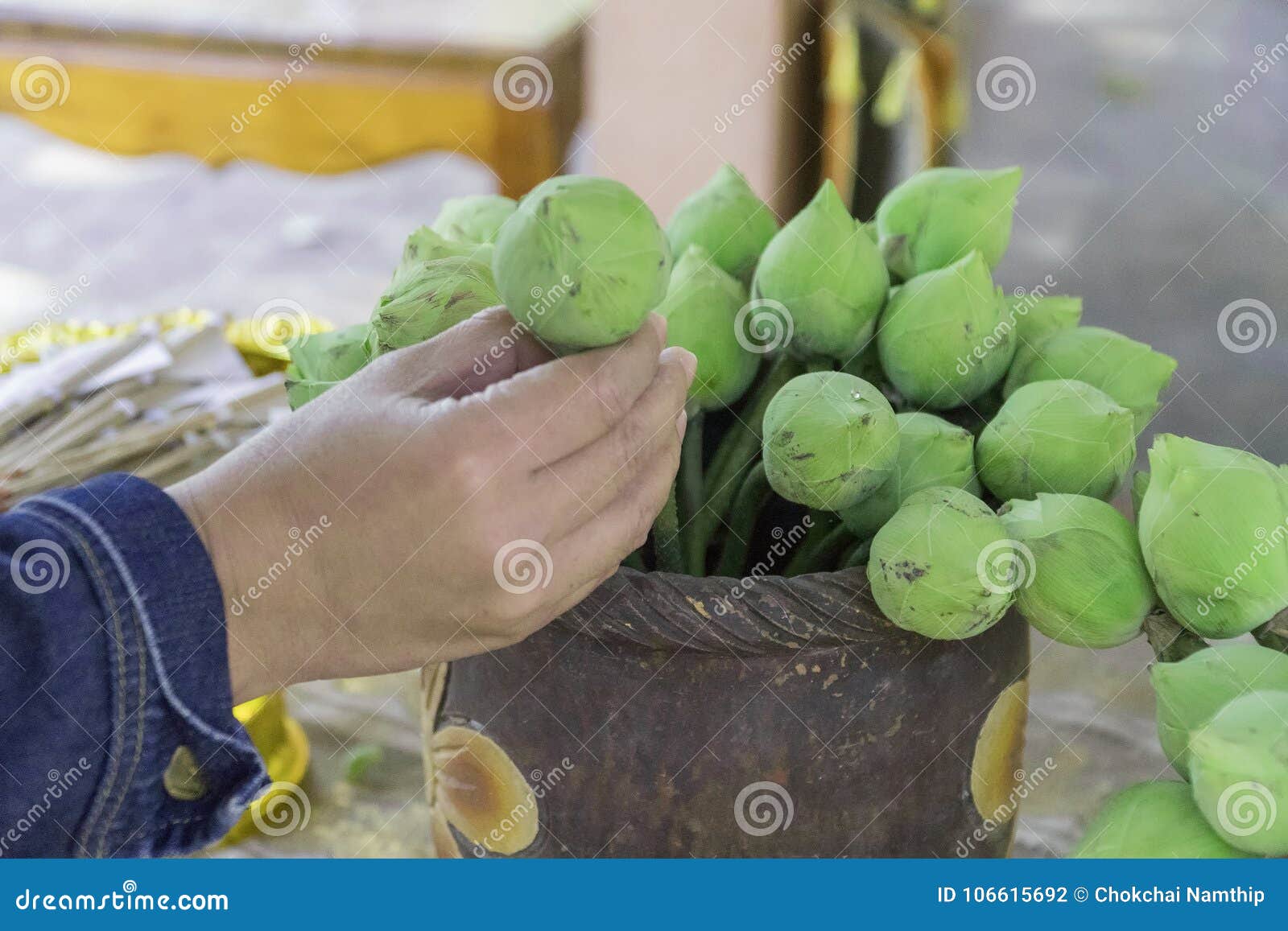 Uitgelezen groene lotusbloem in de vaas voor verering in Budfhism