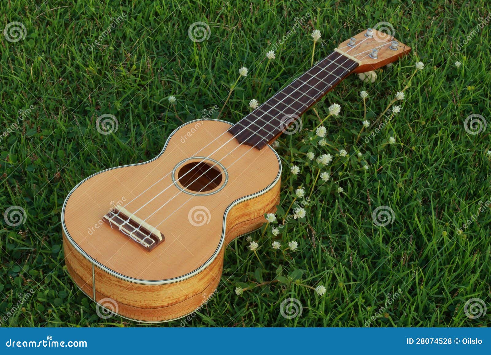 Ukulele stockfoto. Bild von vier, freizeit, seilzug, musikalisch 28074528